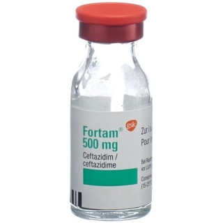 FORTAM TROCKENSUB 500MG FORTAM TROCKENSUB 500MG