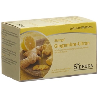 SIDROGA WELLN TEE INGWER Z SIDROGA WELLN TEE INGWER Z