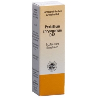 Sanum Penicillium Chrysogenum D 12 (notatum) 10мл Sanum Penicillium Chrysogenum D 12 (notatum) 10мл