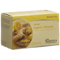 SIDROGA WELLN TEE INGWER Z SIDROGA WELLN TEE INGWER Z