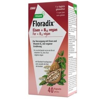 Floradix Eisen + B12 Kapseln Vegan 40 штук Floradix Eisen + B12 Kapseln Vegan 40 штук