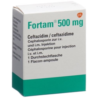 FORTAM TROCKENSUB 500MG FORTAM TROCKENSUB 500MG