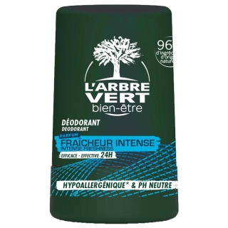 L'ARBRE VERT Öko Deo Roll on Mann Vit B5 FR L'ARBRE VERT Öko Deo Roll on Mann Vit B5 FR
