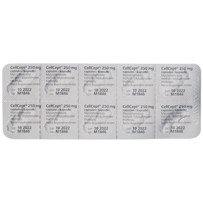 Cellcept (pi) Kapseln 250mg 300 Stück