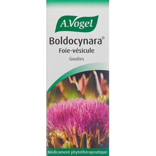 Vogel Boldocynara Leber-Galle Tropfen Flasche 50ml Vogel Boldocynara Leber-Galle Tropfen Flasche 50ml