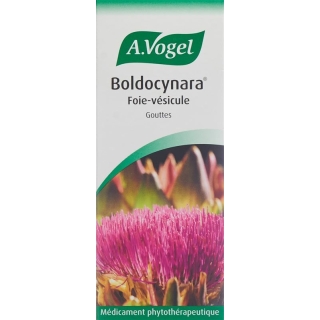 Vogel Boldocynara Leber-Galle Tropfen Flasche 100ml Vogel Boldocynara Leber-Galle Tropfen Flasche 100ml
