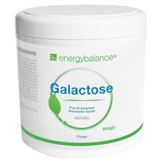 Energybalance Galactose Pulver Hochrein Dose 250g Energybalance Galactose Pulver Hochrein Dose 250g