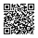 QR Solis Swiss Perfect Haartrockner Typ 440 Schwarz