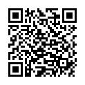 QR Solis Swiss Perfect Haartrockner Typ 440 Violett