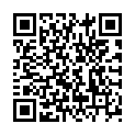 QR WILLI FOX ALKOHOLTESTER