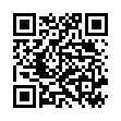 QR BLINK INTENSIVE MUSTER