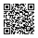 QR One Touch Delica Stechhilfe