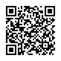 QR Herba Haarbinder 3см Braun 12 штук