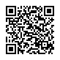 QR BLOX FLUGZEUG ERWACHSENE