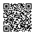 QR LitoFlex Hagenbuttenpulver порошок 300г