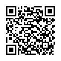 QR Braun Satin Hair Haartrockner 7 Hd 730 Diffusor