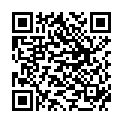 QR Жилетт Боди сменные лезвия 4 шт