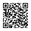 QR VIGEAN SONNENBLUMENOEL