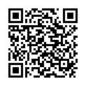 QR ESTALIN SPECIAL POLITUR DUNKEL