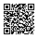 QR ESTALIN SPECIAL POLITUR DUNKEL