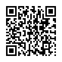 QR GERMANN MEDIKAMENTEN DISP 2265