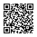 QR Herba Taschenkamm Handgesaegt 5174