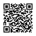 QR Флорадикс HA витамины + органическое железо 500 мл