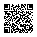 QR SANITY BIRNSPRITZE GR11 347ML