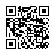 QR KETO DIASTIX STREIFEN