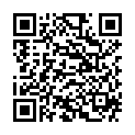 QR Герба Сменные резинки 3 штуки 5518