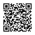 QR Lactona Interdentalburste No 27