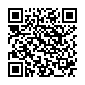 QR Malteser Hobelklingen No 23 10 штук