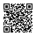 QR ELLAMED VAGINALKONEN 3 FORMEN