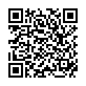 QR XILITO BIRCH BARK EXTRAC WILD