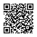 QR Henna Plus Long Lasting Colour Indian Summer 5.4