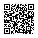QR Paro Kunststoffhalter F Set mit 2 Bursten