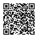 QR Paro Solidox Zahnholz Mittel Doppelendig 96 штук