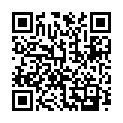 QR Braun Verbindungsшт Standardkeg/luer-lock 100 штук