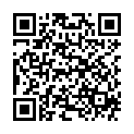 QR Spillmann Perfect Matte Loose Pwd