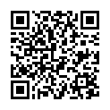 QR Herbatint Haarfarbegel 4r Kupfer Braun 150мл
