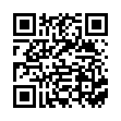QR Фруктовые 30 пастилок 