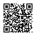 QR VISOMAT HANDY SOFT BLUTDRUCK
