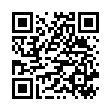 QR Gribi Sicherheitsnadel 4 штуки