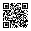 QR Подушка небесно-зелёная с виноградными косточками 30 x 20см Пейсли