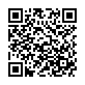 QR Sidroga Bio Kinder Fruchtetee 20 штук