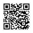 QR Бисольвон раствор 40 мл