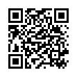 QR Буарон Силицеа гранулы C 30 4 г