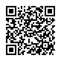 QR Boiron Nitricum Acidum шарики C 15 1 доза