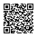 QR Lavera шампунь Frische & Anti-Fett 250мл