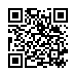 QR ЗАЩИТА И СИЛА БЛИЗНЕЦОВ